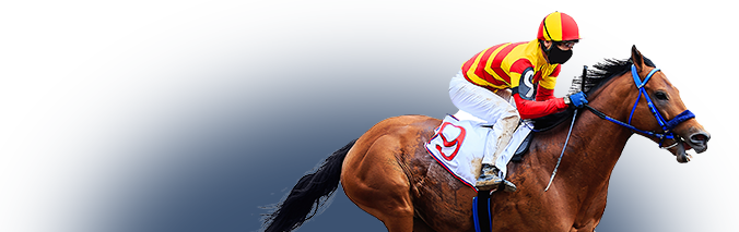 Horse Racing Betting Tips